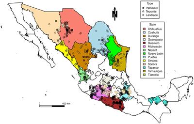 Criteria for prioritizing selection of Mexican maize landrace accessions for conservation in situ or ex situ based on phylogenetic analysis
